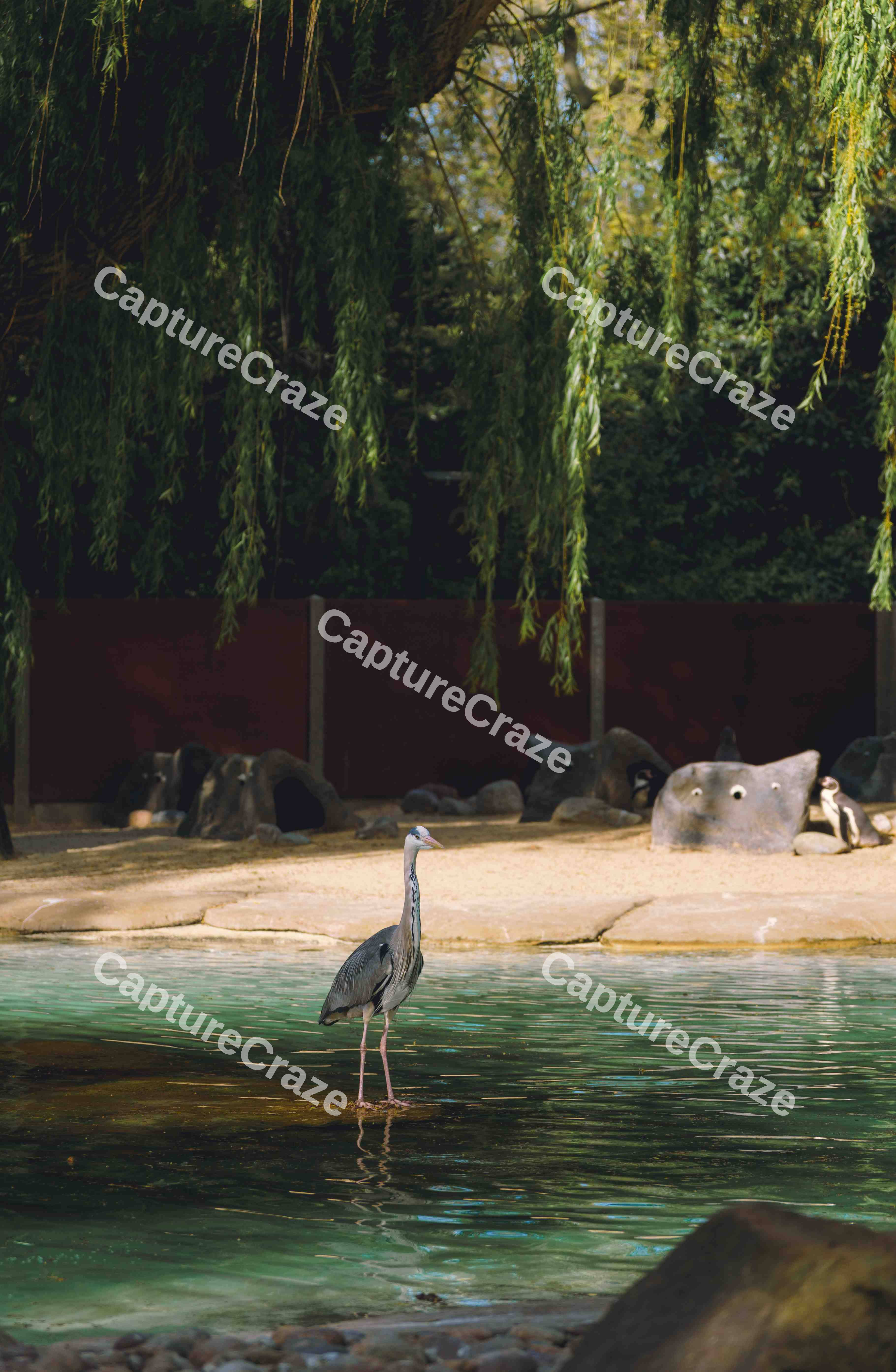 Tranquil Heron (Variation)